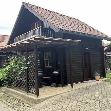 Holiday Cottage Krishtan ポドチェトルテク エクステリア 写真